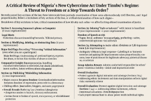 a-critical-review-of-nigerias-new-cybercrime-act-under-tinubus-regime