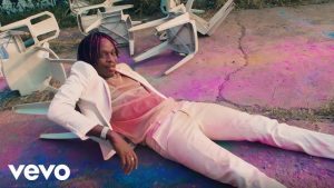 Fireboy DML - Vibration